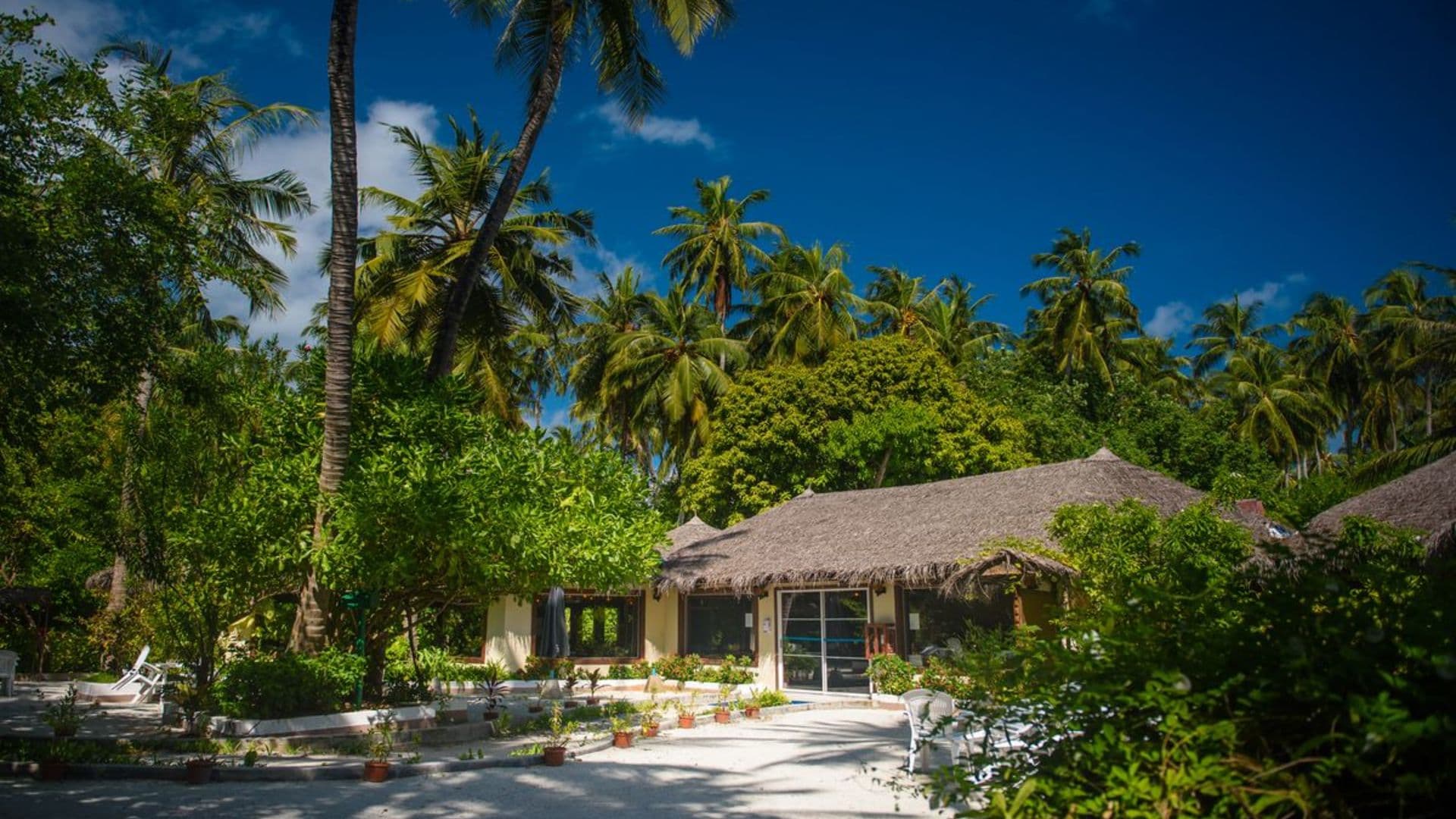 Island resort 3. Biyadhoo Island Resort Мальдивы. Biyadhoo Island Resort 3 Южный Мале. Biyadhoo Island Resort 3* Мальдивы, Мальдивы. Мальдивы Biyadhoo Island Resort 3* Мале Атоллы / Южный Мале Атолл.