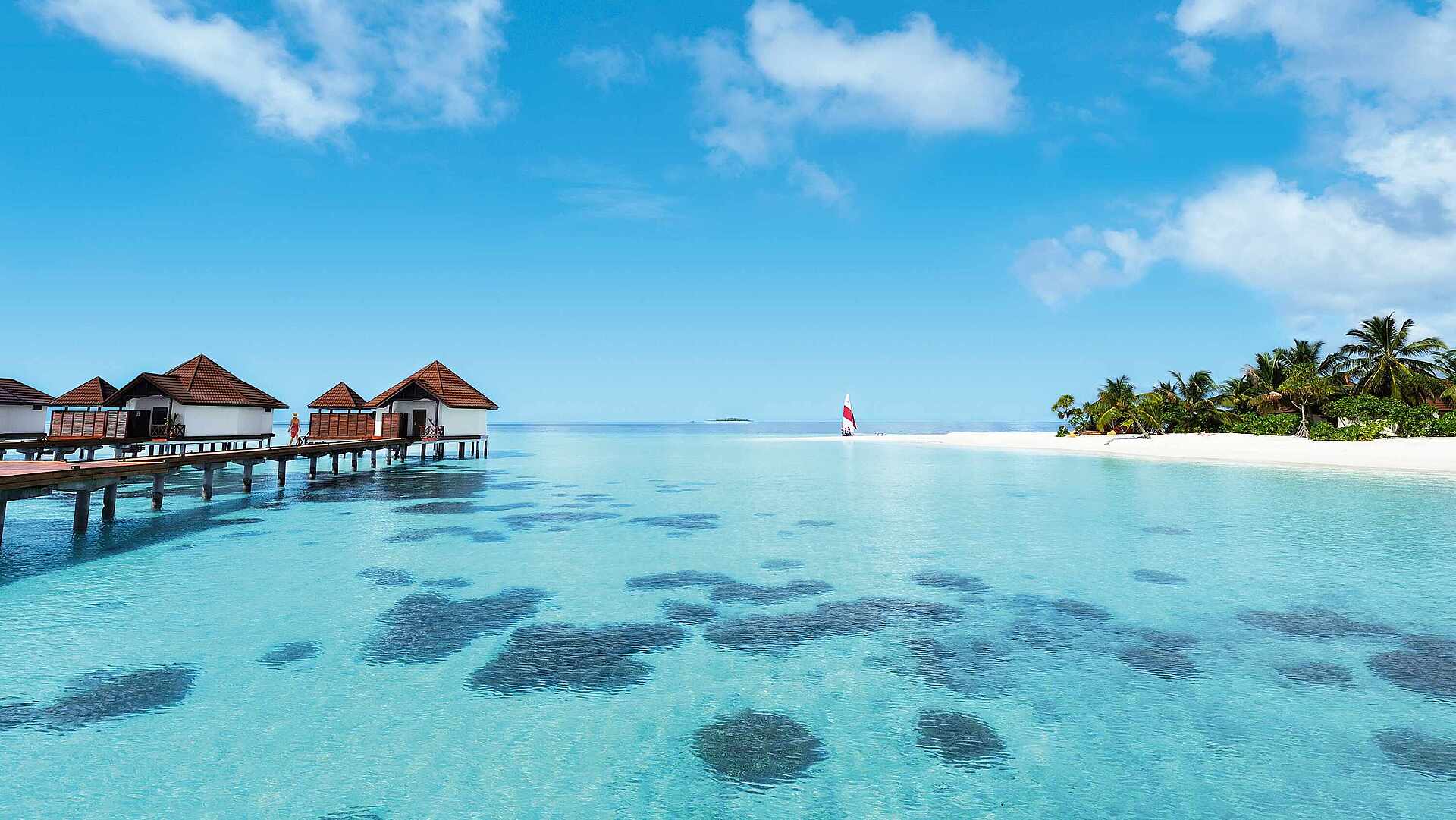 Атолл Гаафу Алифу Мальдивы. St. Regis Maldives Vommuli” на Мальдивах.. Robinson Club Maldives 5. Мальдивы клаб анархи.